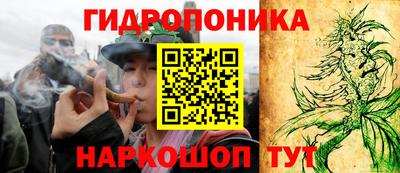 не бодяженный Новозыбков