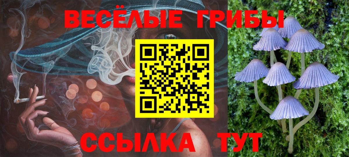 Псилоцибиновые грибы мицелий  закладки  Тобольск  Вход с VPN 